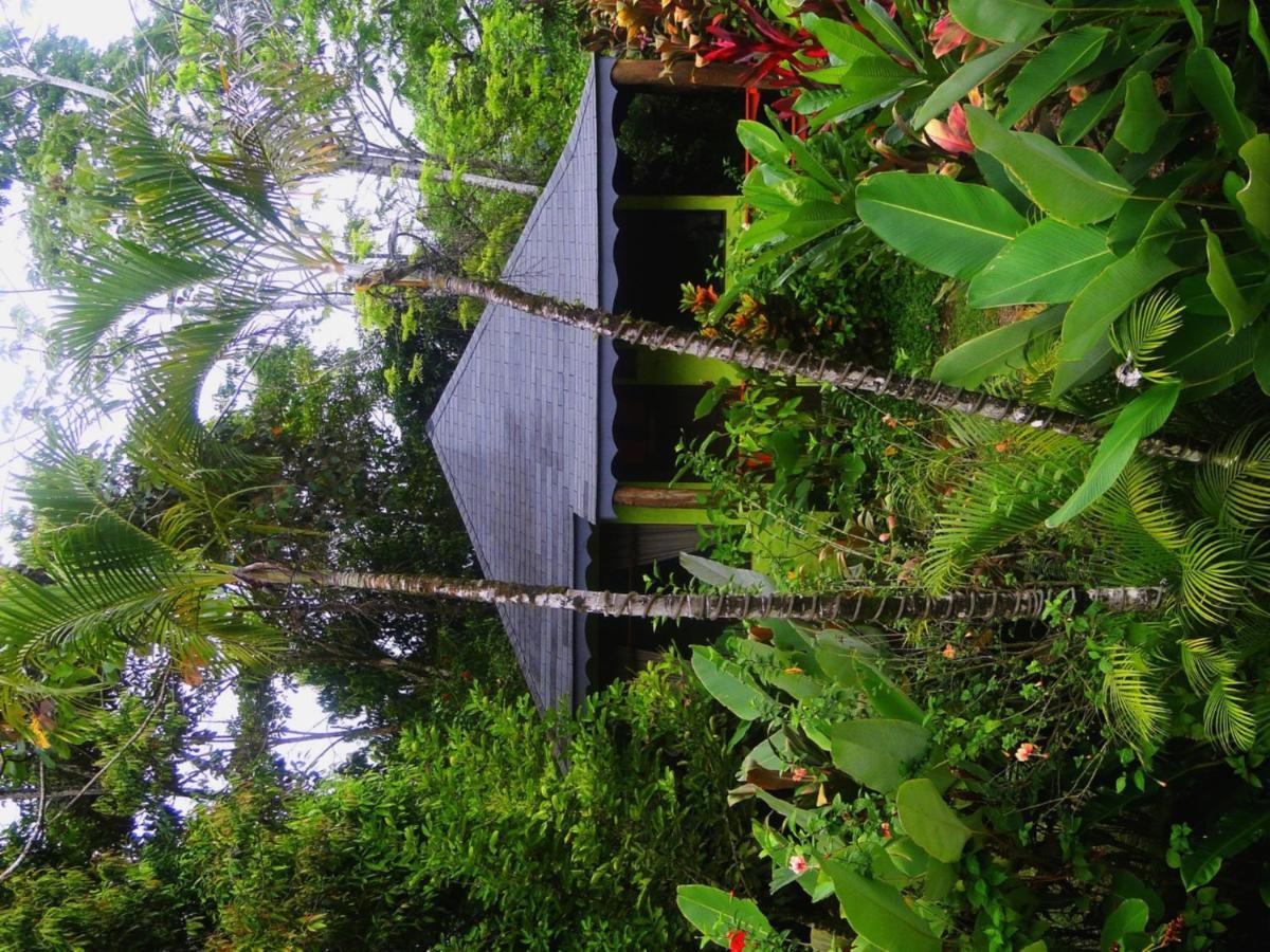Dos Casitas Villa Ojochal Exterior foto