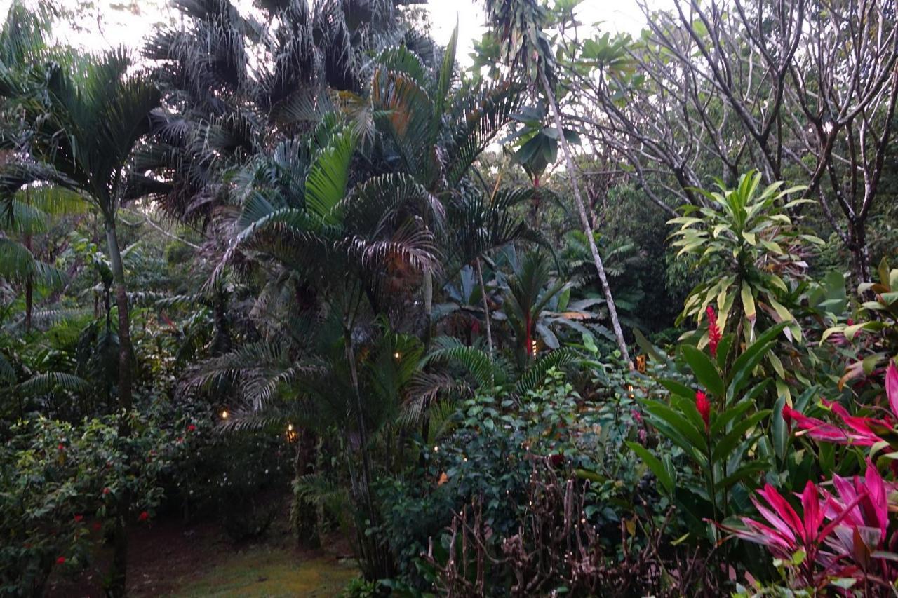 Dos Casitas Villa Ojochal Exterior foto